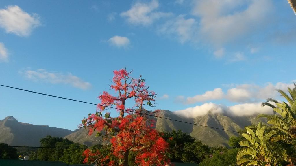 Flametree Guesthouse Swellendam Exterior photo